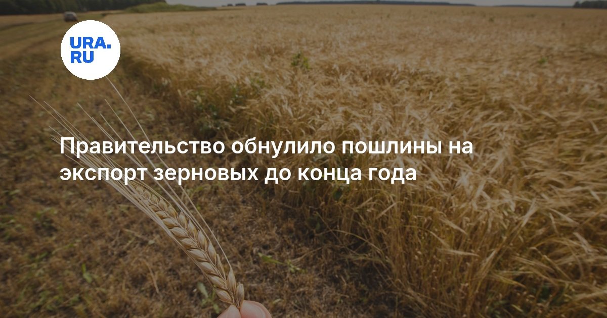 Правительство обнулило пошлины на экспорт зерновых до конца года
