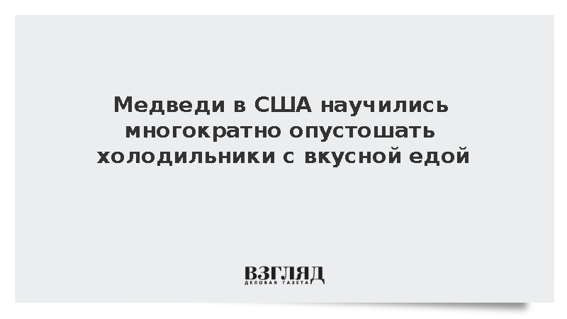 Медведи в США научились многократно опустошать холодильники с вкусной едой
