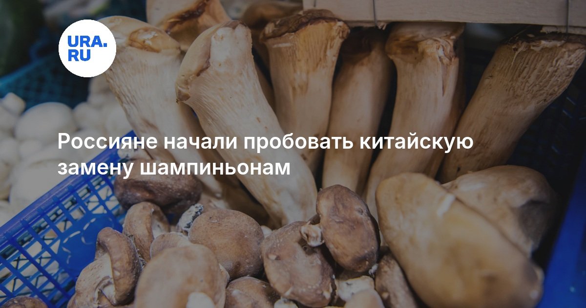 Россияне начали пробовать китайскую замену шампиньонам