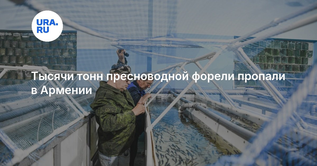 Тысячи тонн пресноводной форели пропали в Армении