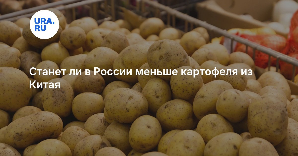 Станет ли в России меньше картофеля из Китая