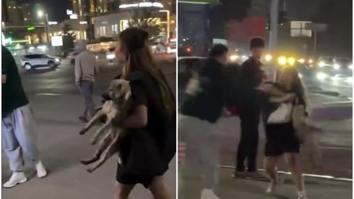 Женщина бросила свою собаку в прохожего во время конфликта в Алматы (видео)