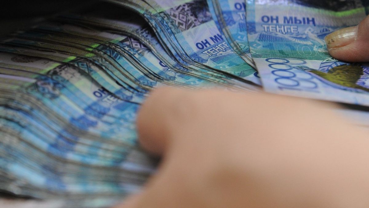 Казахстанка за год “заработала” 158 млн тенге