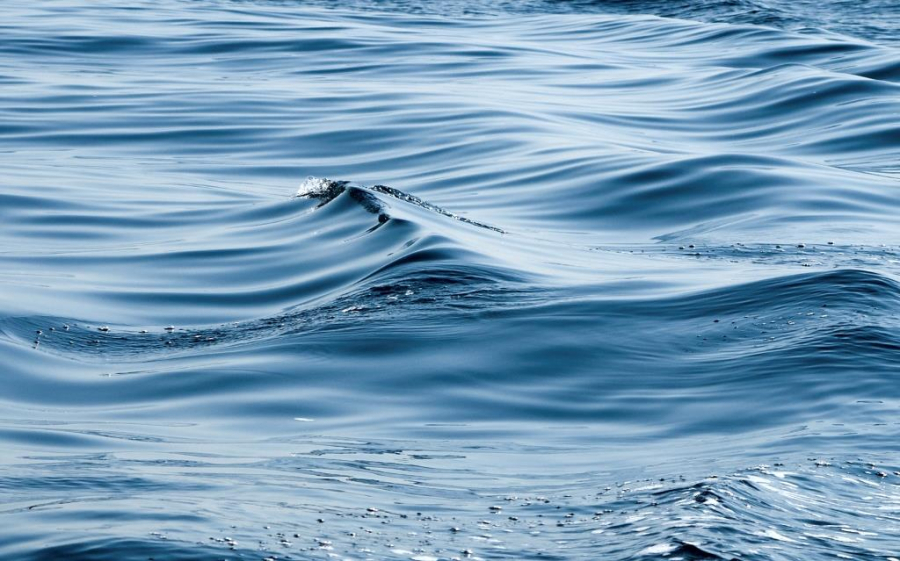 У берегов Турции в Черном море обнаружили предположительно беспилотник