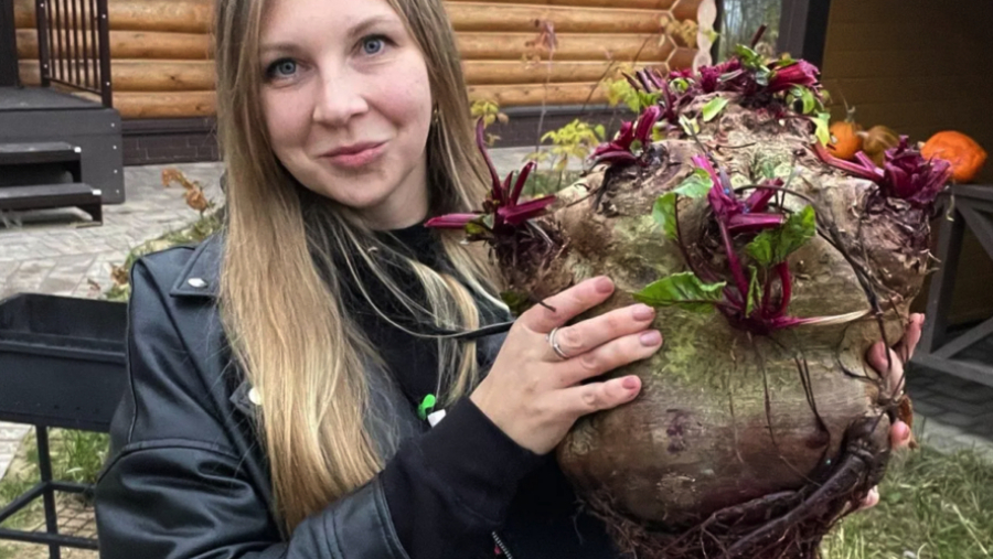 Женщина, вырастившая свеклу весом с двухлетнего ребенка, поделилась секретами садоводства 17/04/2026 – Новости