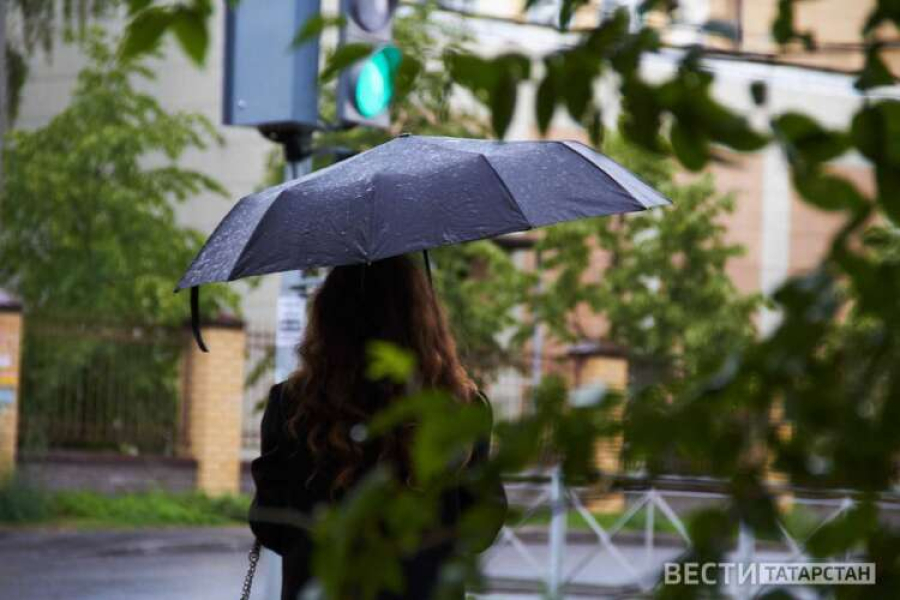 В Татарстане на этой неделе ожидаются дожди, грозы и усиление ветра до 21 м/с